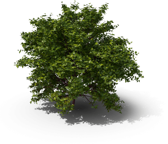 Hoveniersbedrijf Goes