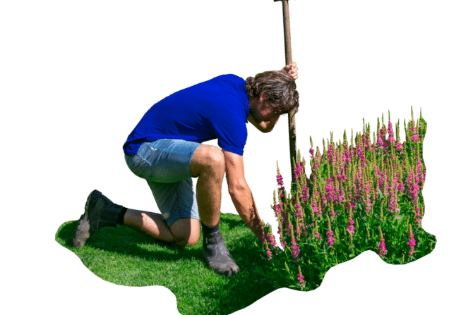 Tuinonderhoud Hoveniersbedrijf Goes