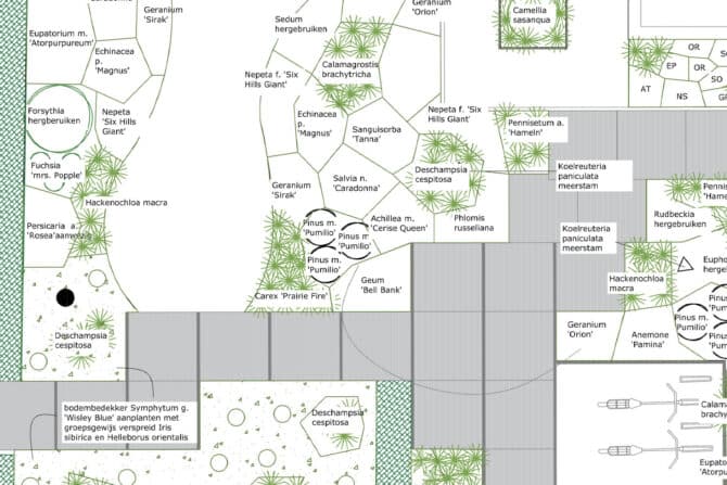 Beplantingsplan ontwerp en aanleg tuin