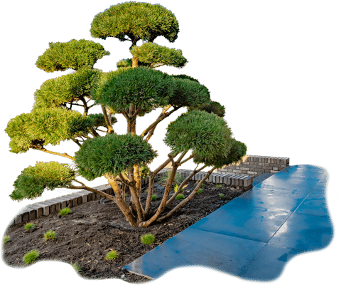 Aanleg zakelijk Hoveniersbedrijf Goes