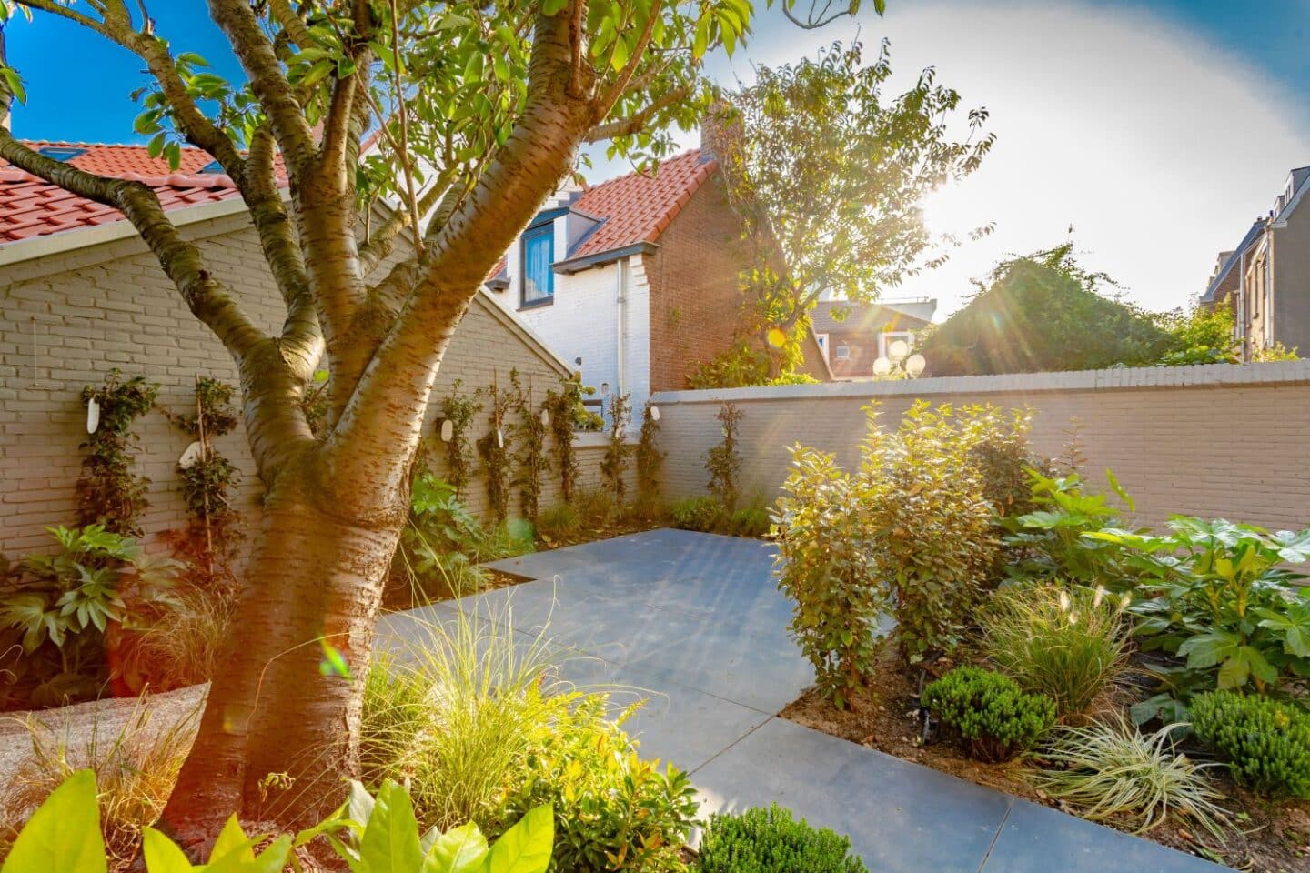 Aanleg buitenruimte Bell Hotel beplanting