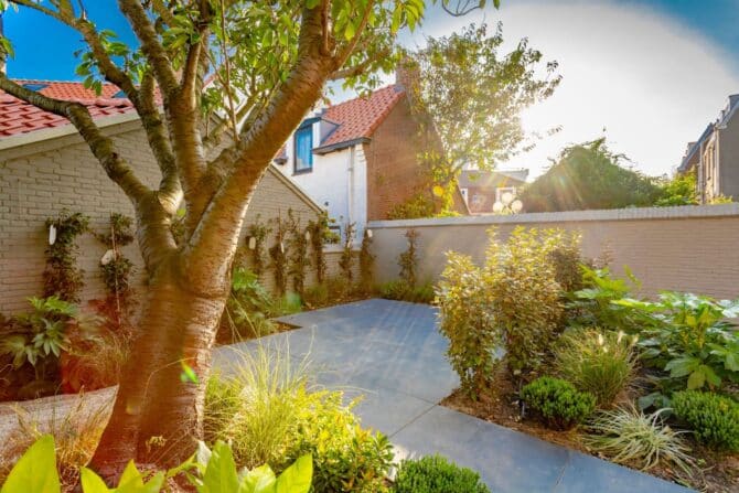 Aanleg buitenruimte Bell Hotel beplanting