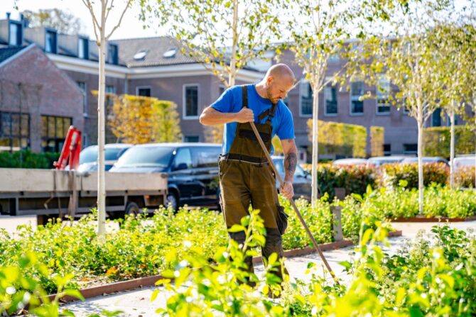 Beheer en groenonderhoud Rijksmonument onderhoud beplanting