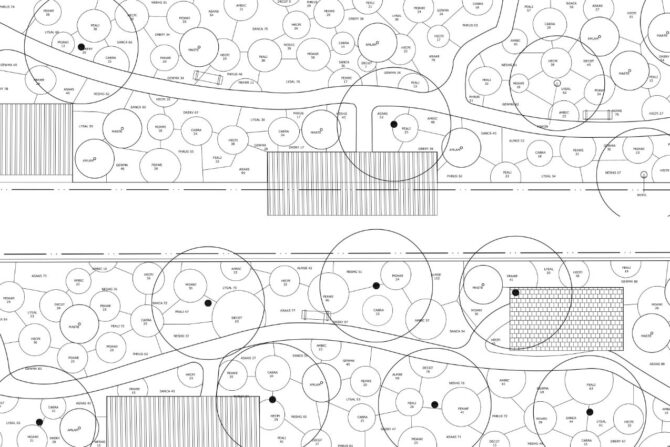 Beplantingsplan aanleg park delft