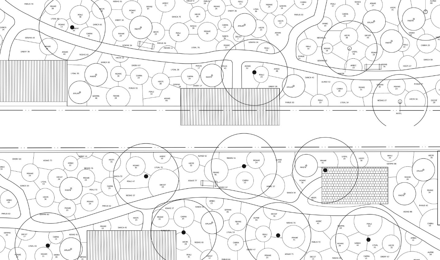 Beplantingsplan aanleg park delft