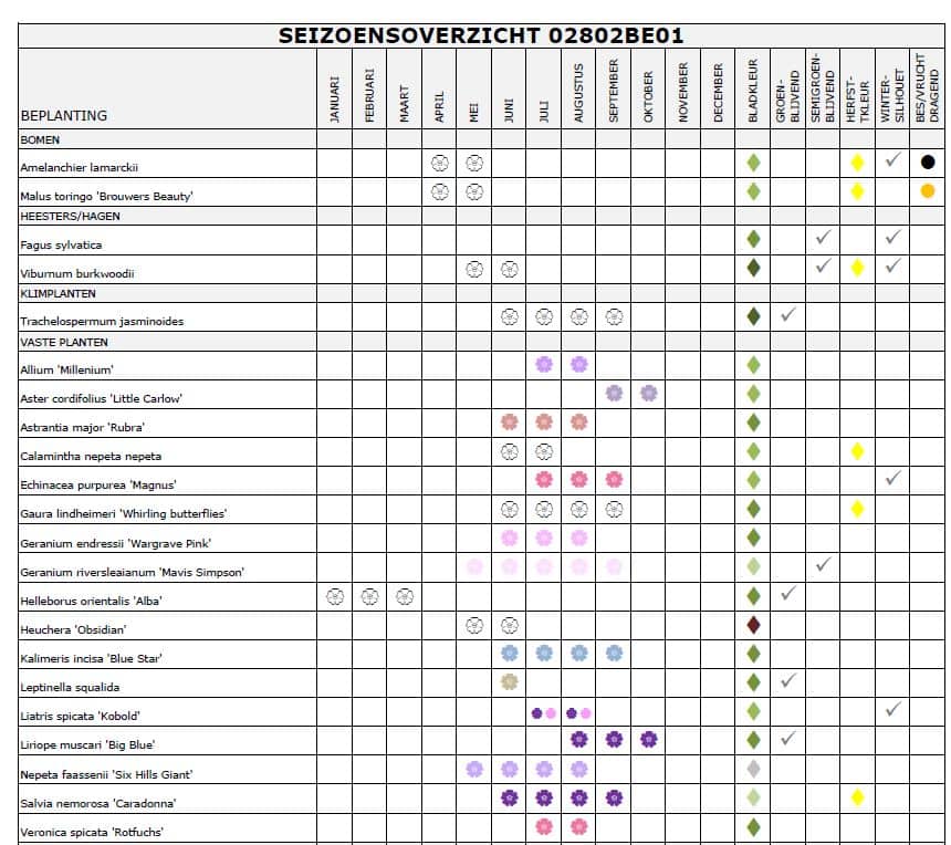 Beplantingsplan seizoensbeleving