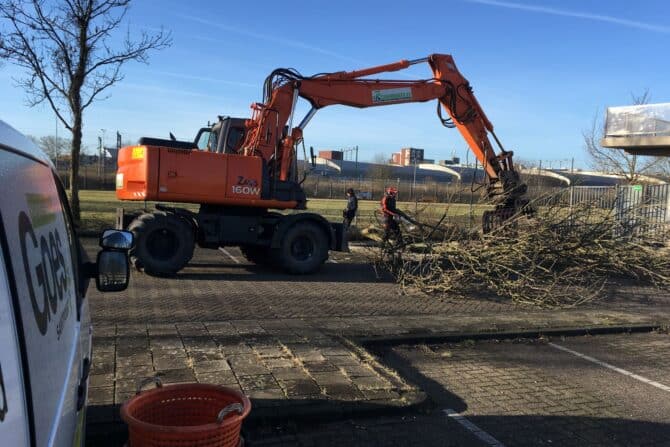 Boomverzorging buitenruimte