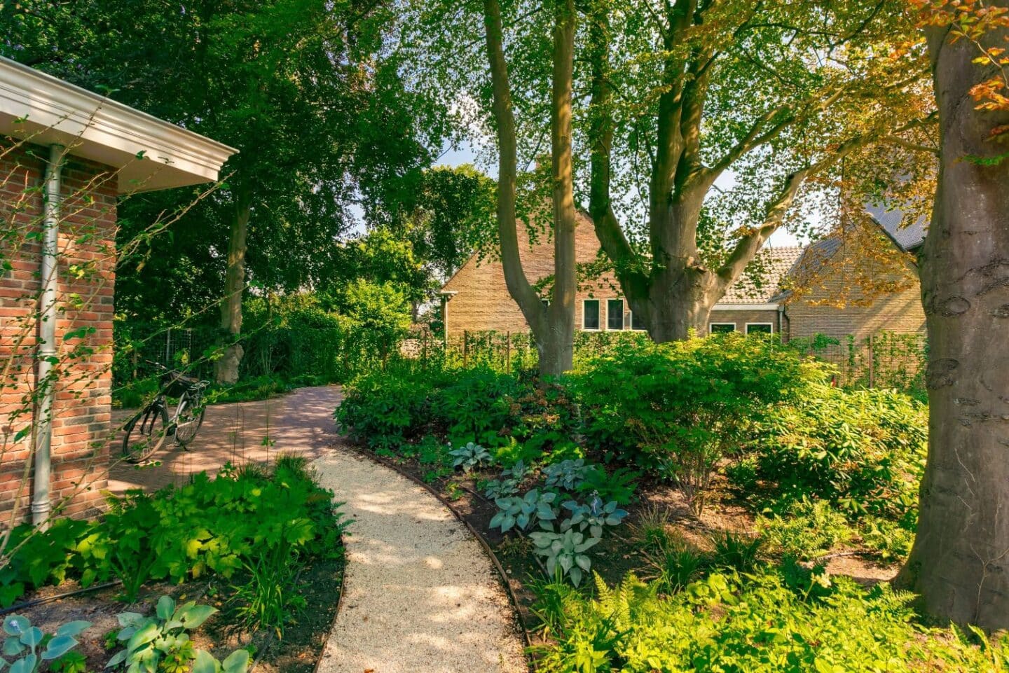 Onderhoud achtertuin