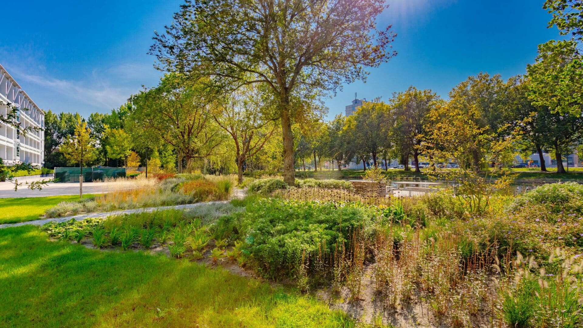 Ontwerp en aanleg park Delft beplanting boomverzorging