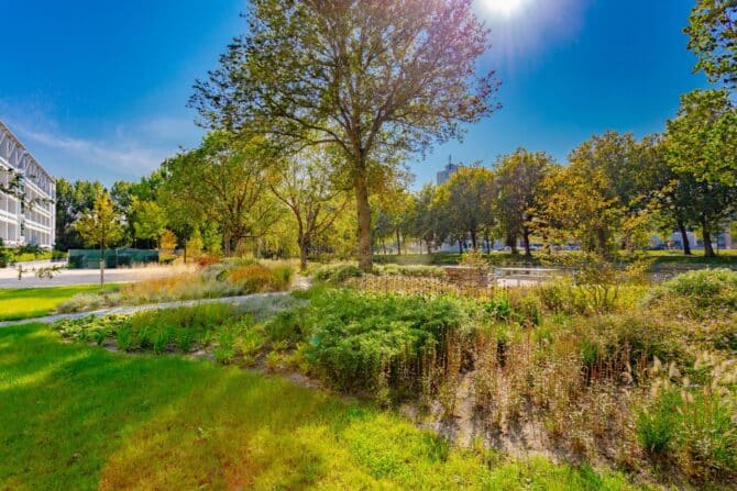 Ontwerp en aanleg park Delft beplanting boomverzorging