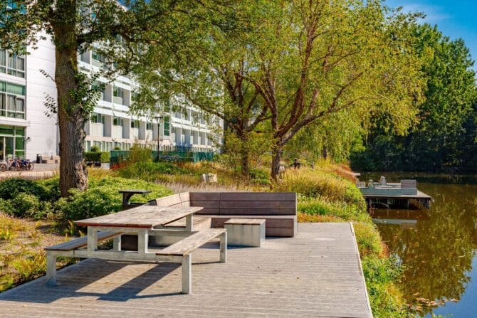 Ontwerp en aanleg park Delft timmerwerk vlonder