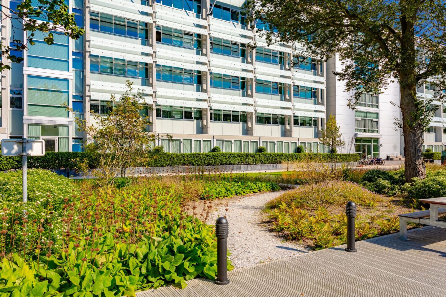 Ontwerp, inrichting en aanleg park Delft