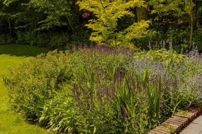 Beplanting en aanleg van oprit en royale tuin in Bloemendaal