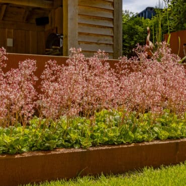 Beplanting, ontwerp en aanleg van ruimtelijke achtertuin