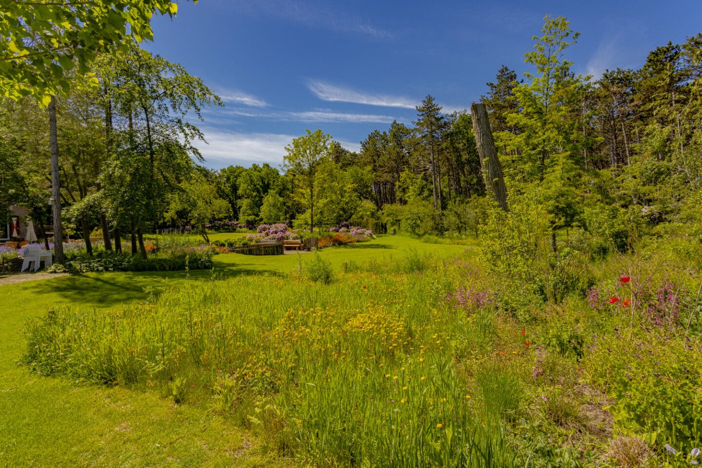 Beplanting, ontwerp en aanleg landgoed in duingebied Santpoort